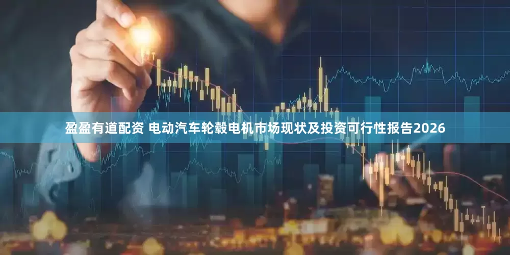 盈盈有道配资 电动汽车轮毂电机市场现状及投资可行性报告2026